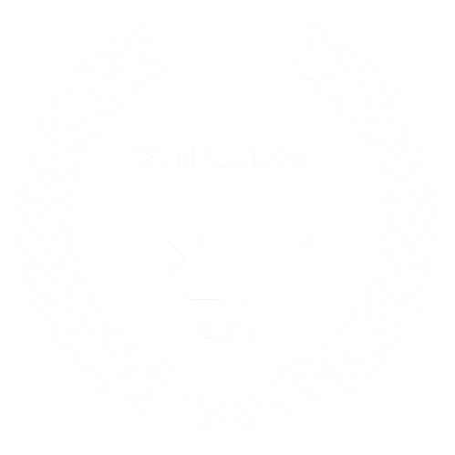 RIDM Official Selection Award